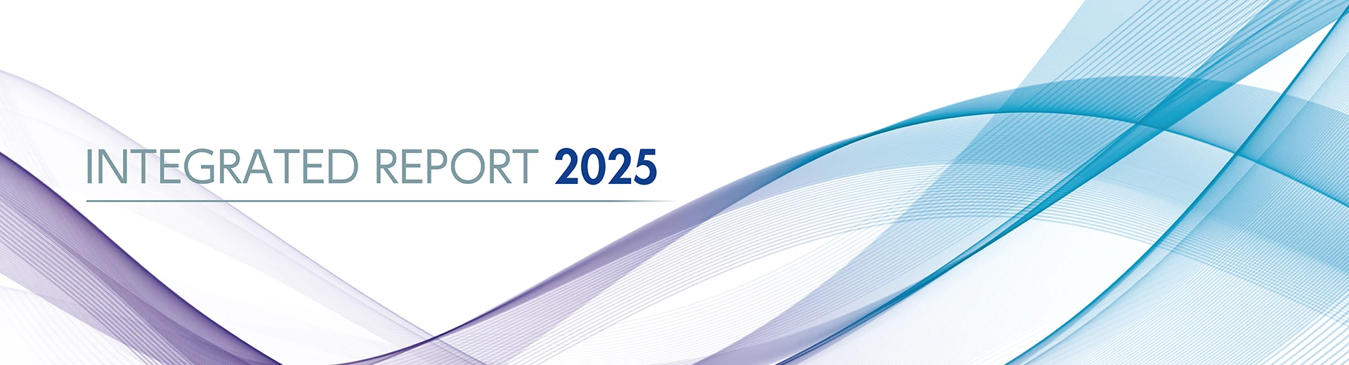 Integrated Report 2025