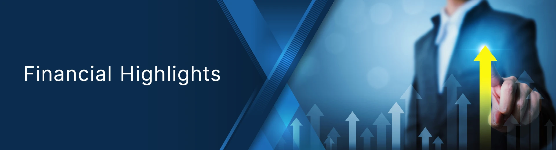 financial highlights