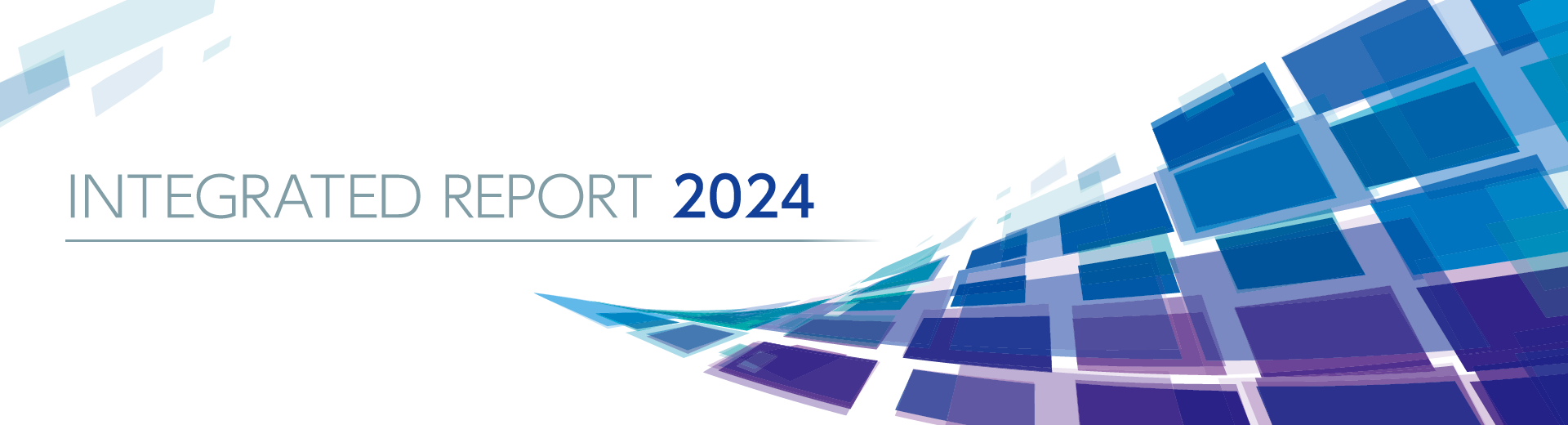 integrated report 2024